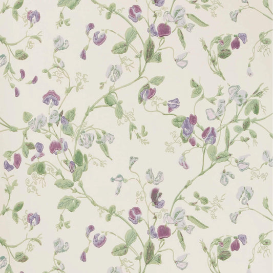 Cole & Son Sweet Pea Wallpaper - Violet